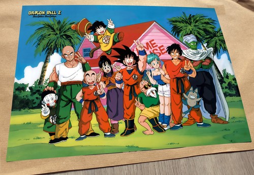 Dragon ball family poster - z,