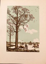 "ARBRE A KAPOK EN FLEURS"  YANG NA-WEI GRAVURE SUR BOIS CHINOISE