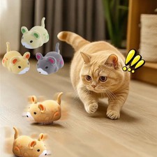 🐭 JOUET INTERACTIF POUR