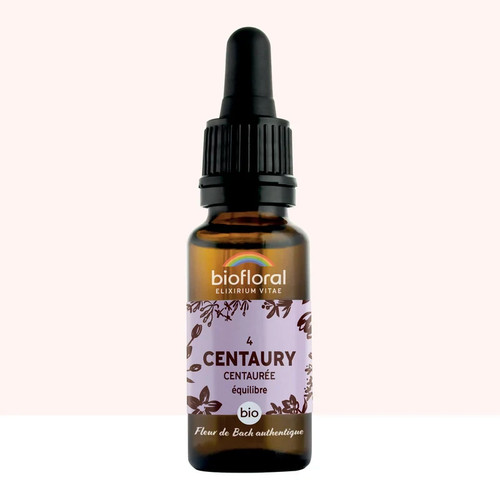 Fleur bach 04 centaury - fleur,