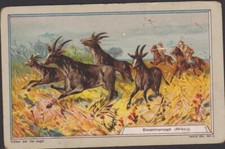 CHROMO ANCIEN PUBLICITAIRE