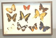 Cadre Carton Rectangulaire 10