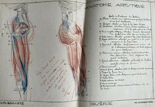 Rare dessin original grand