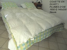 COUETTE D'HIVER EN DUVET ET