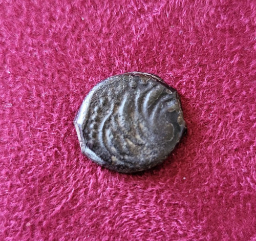 Gauloise joli bronze yllici - joli,