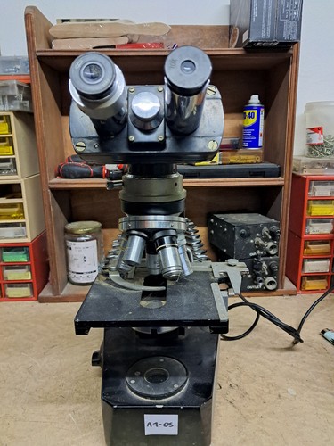 Microscope conference - microscope,