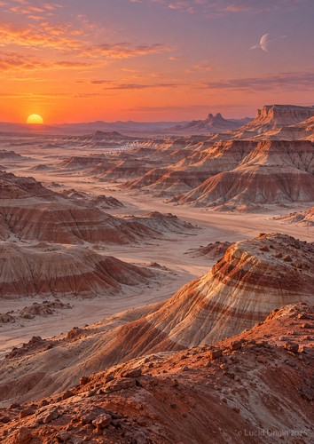Art print desert - art,
