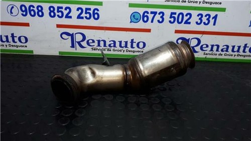 A2034906036 catalyseur
