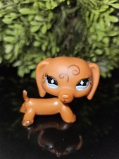 ✨️Littlest Pet Shop # 640
