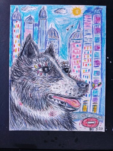 Dessin chien border - chien, collie