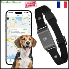 Collier GPS 4G pour Animaux