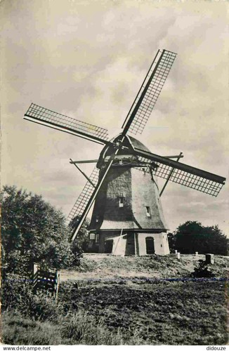 Carte postale moulin à vent - -,