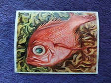 Image publicitaire chocolat Cantaloup-Catala  années 50 - album n°4