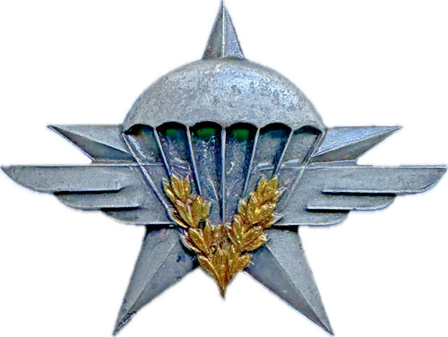 Régiment de chasseurs - 1°,