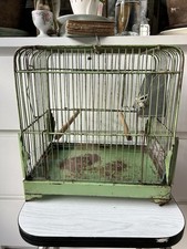 Ancienne cage à oiseau vert mint métal Vintage avec mangeoire en zinc et miroir