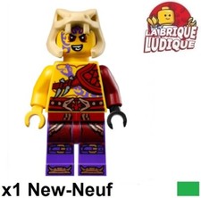 Lego Figurine Minifig Ninjago