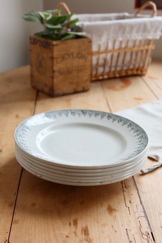 Assiettes vintage terre de - terre,