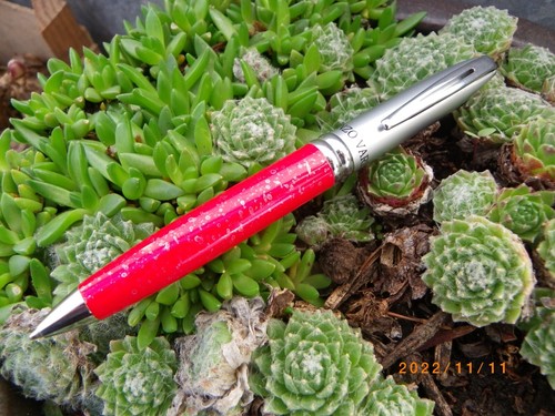 Superbe stylo bille enzo - *,