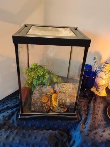 Terrarium for reptiles x 8 - terrarium, 12