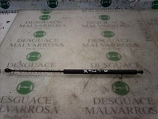 verin de coffre RENAULT