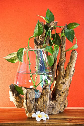 Fondu verre sur bois racine - sur,