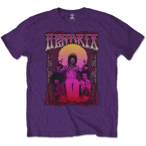 Jimi hendrix karl ferris - jimi,