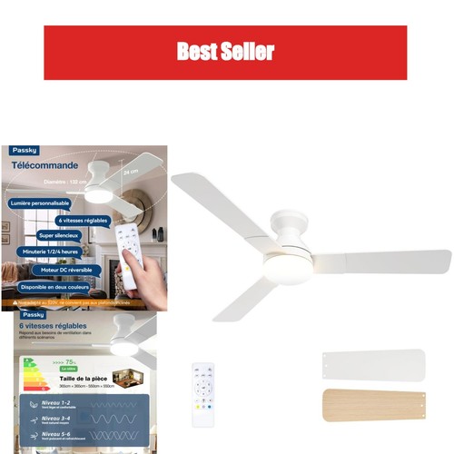 Passky ventilateur plafond - ventilateur,