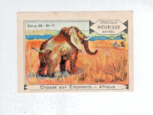 Chromo chasse aux - chromo,