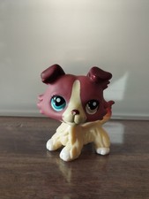 LPS #1262 Chien Colley - Yeux