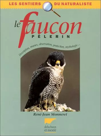 Faucon pèlerin monneret - faucon, pèlerin,