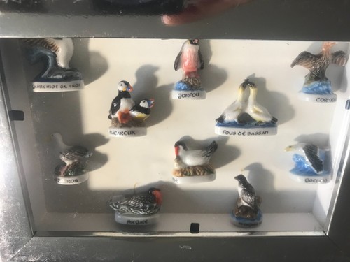 Fève cadre les oiseaux - fève,,