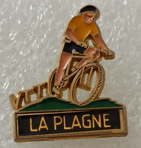 Pins plagne montagne - pins,
