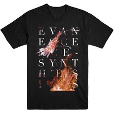 Evanescence synthesis officiel - evanescence,