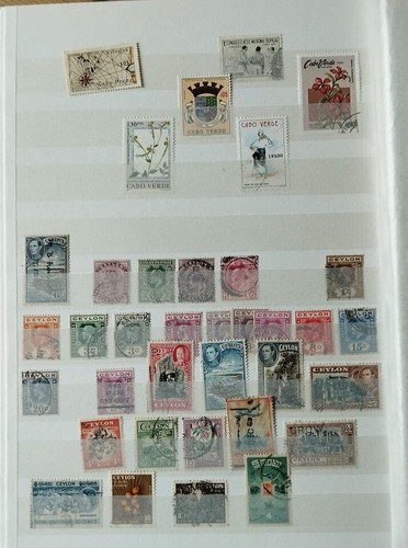 Lot 119 timbre - timbre, cap