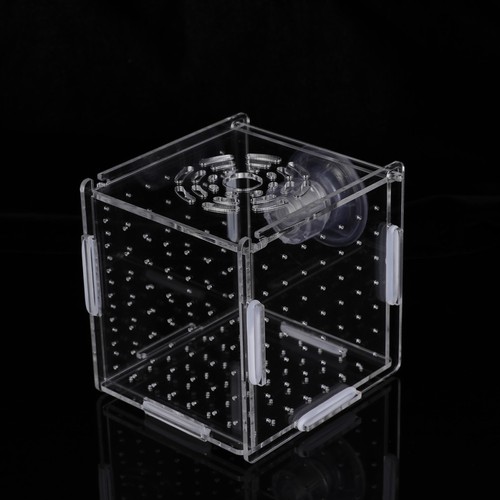 Aquariophilie accessoire - aquariophilie,