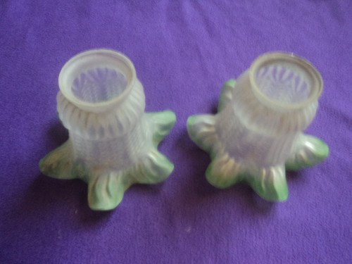 Tulipes pate de verre - pate,