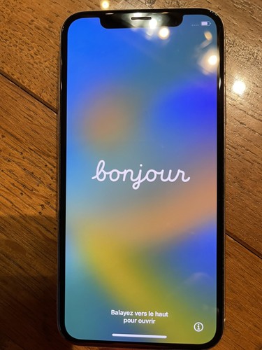 Iphone 256 argent - 1, go