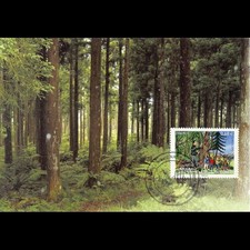 CM - Office national des forêts - oblit 20/11/15 Paris