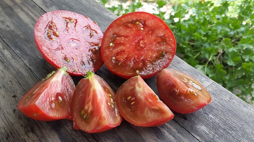 Graines tomate rare - 10,