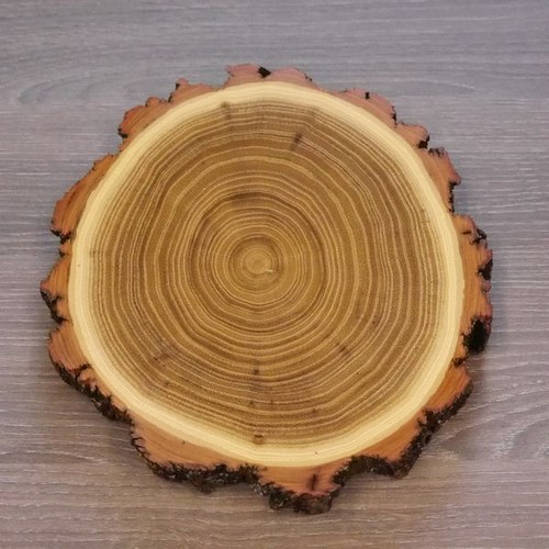 Pièce acacia sanglier af - acacia,
