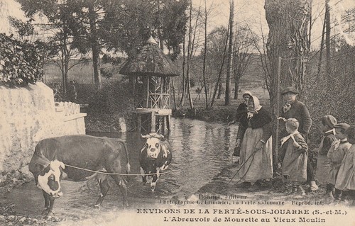 Ferté sous jouarre vaches - la,