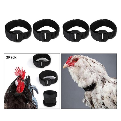 Pièces sans corbeau collier - sans,