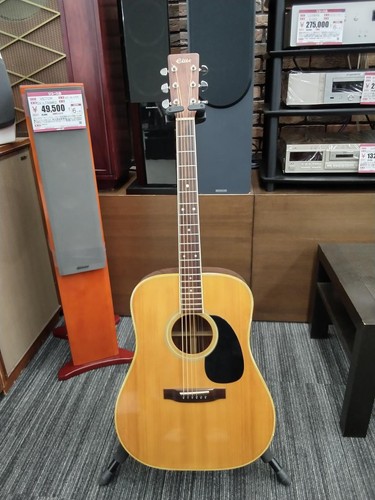 Takamine elite acoustic - takamine, tw-40