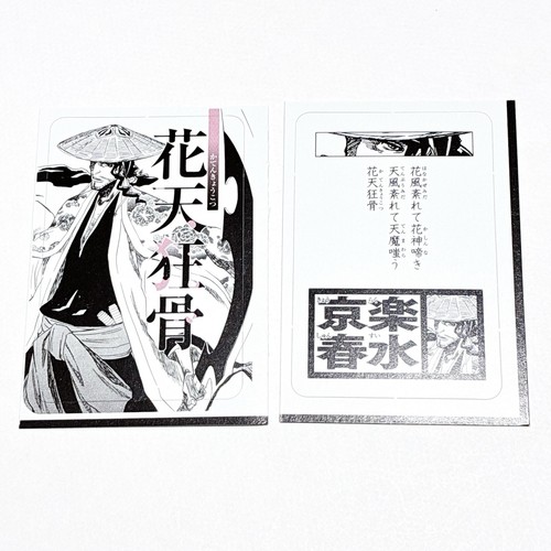 Shunsui kyoraku bleach - bleach, mini