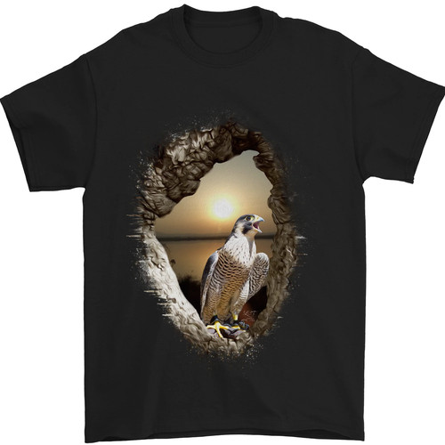 Shirt pour homme coton - pour,