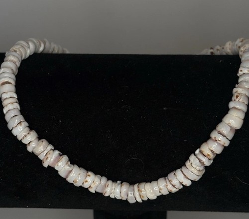 Authentic tiger puka shell - authentic,
