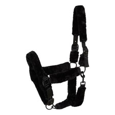 Harnais Pour Cheval Avec