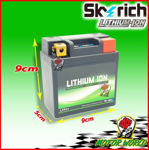 Batterie lithium skyrich lfp01 - skyrich,