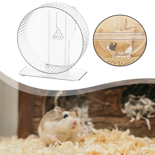 Roue exercice pour hamsters - pour,