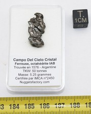 Météorite Campo del Cielo